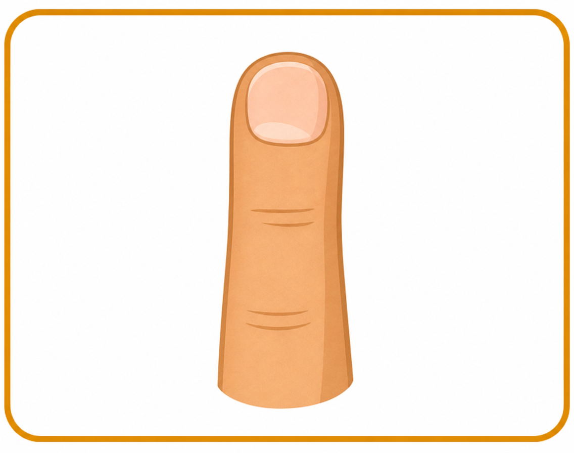 Finger