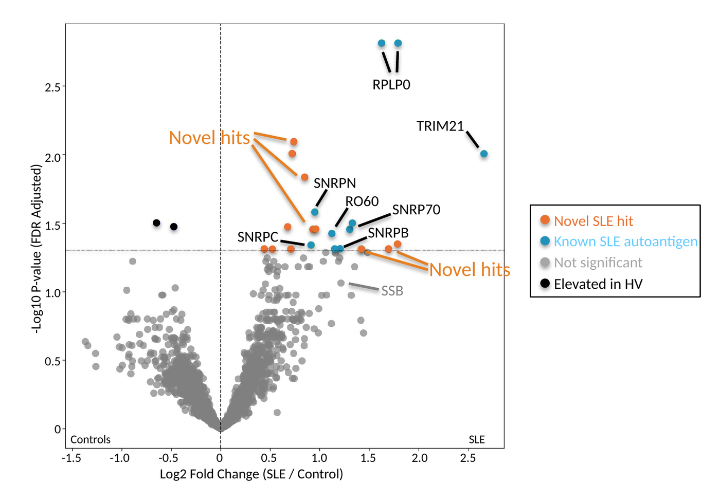 Volcano plot of the SLE antibody reactome screen. Horizontal axis, log2 fold change SLE over control. Vertical axis, negative log10 FDR-adjusted P value, with the significance cutoff drawn at P = 0.05. Known SLE autoantigens are blue, novel hits orange, points elevated in controls black, and points that did not reach significance grey. Labelled markers are RPLP0, TRIM21, SNRPN, RO60, SNRP70, SNRPB and SNRPC; SSB is labelled in grey below the cutoff.