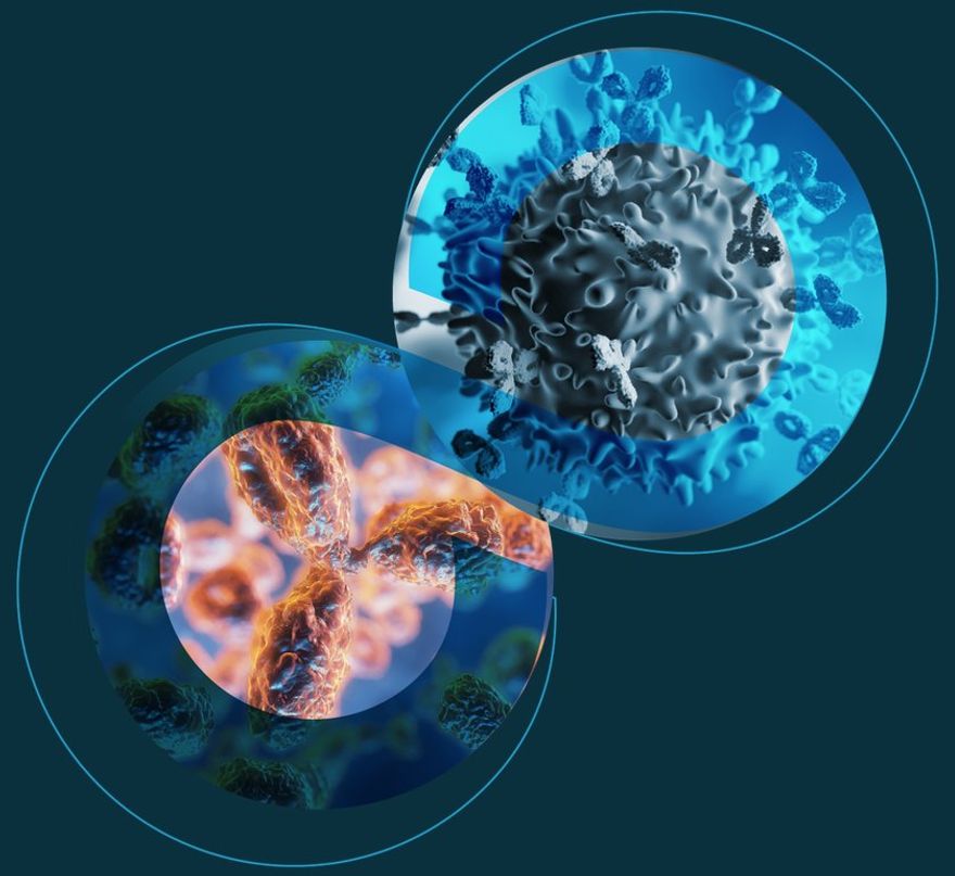 Antibodies bound to immune cell surfaces, shown as two overlapping spheres in the Infinity Bio motif.
