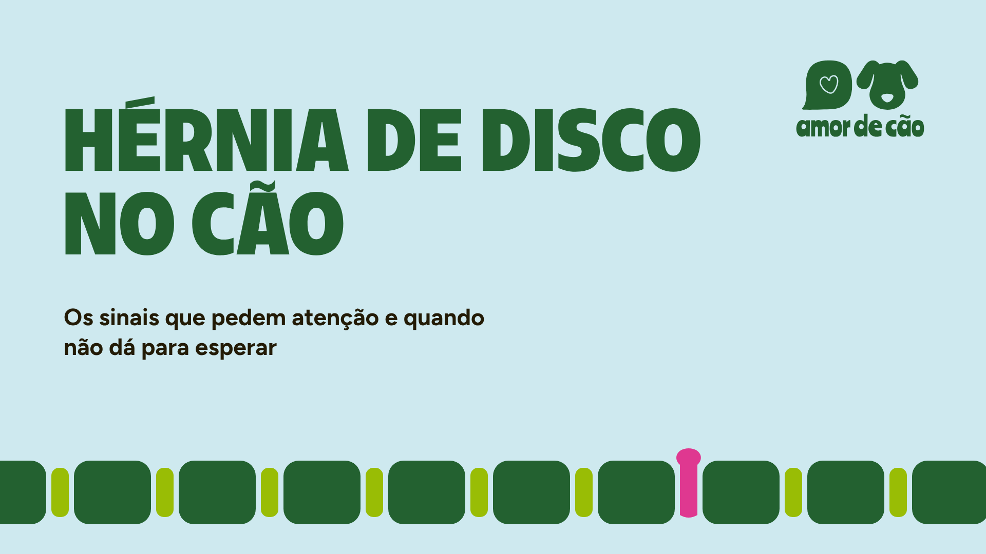 Hérnia de disco no cão: os sinais que pedem atenção e quando não dá para esperar