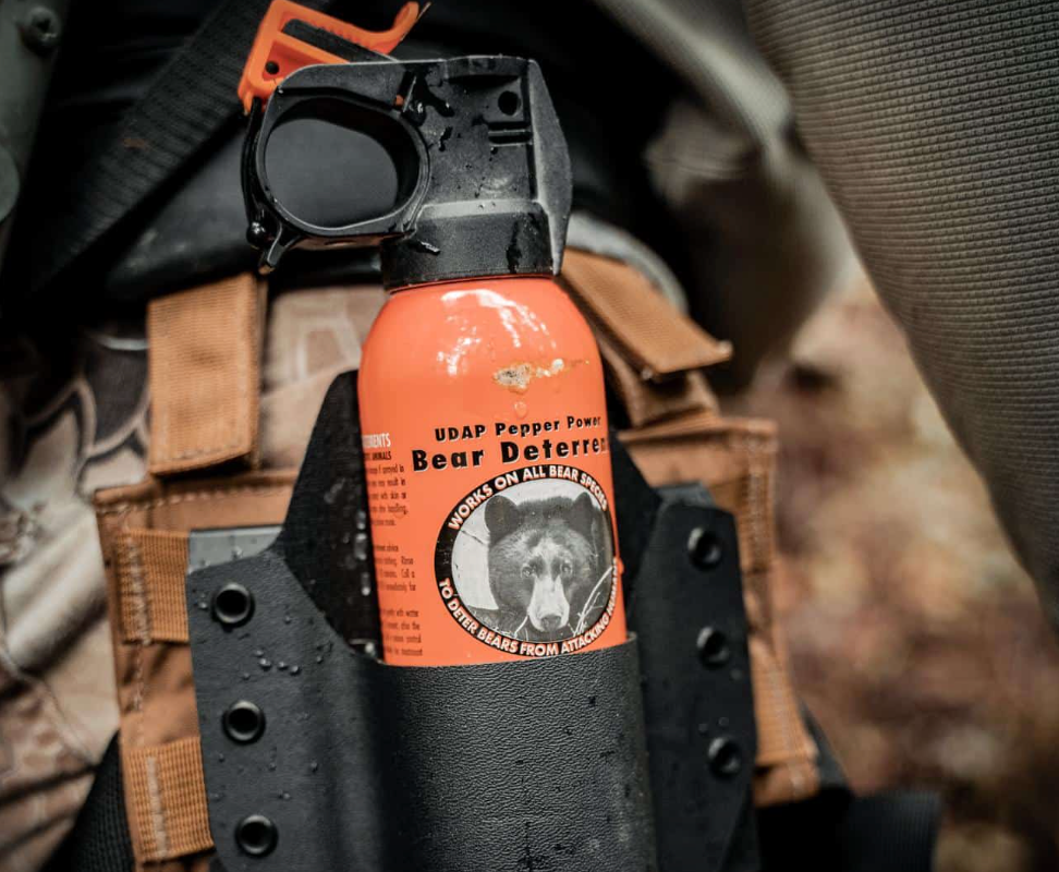 Handguns Stop Bears More Often Than You Think — Data vs. Myth