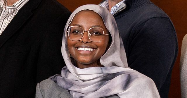 St. Louis Park Mayor Proposes Gun Ban to Address Somali Gang Crime