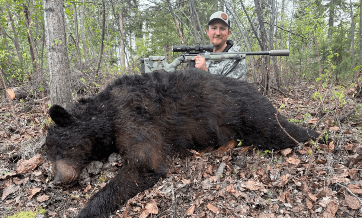 Could the 22 ARC Replace the .243 Winchester?