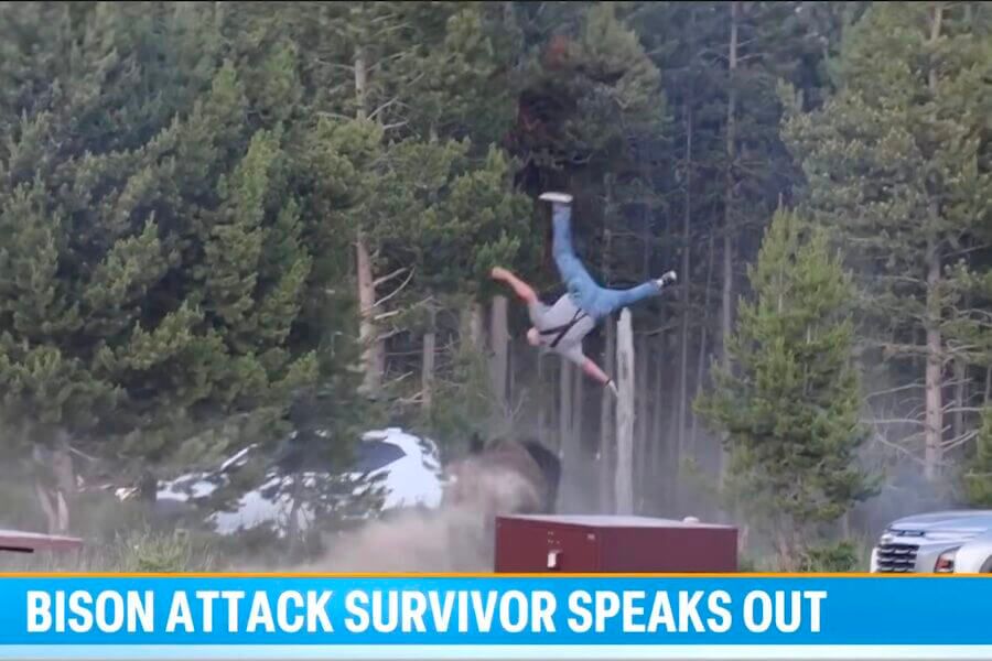 Tourist Tossed by Yellowstone Bison Speaks Out