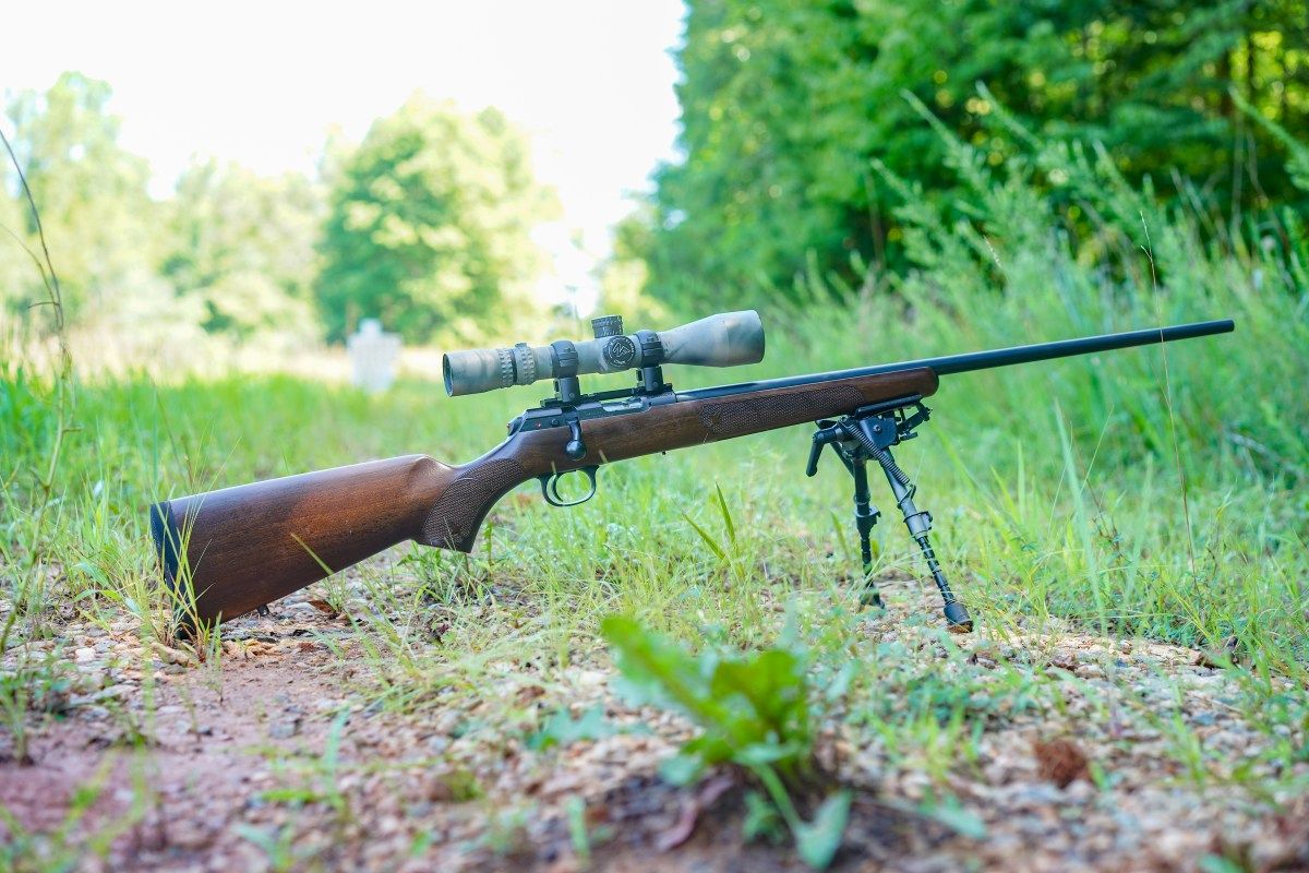 CZ 457 American Review: Quarter-Inch Groups Right Off the Rack