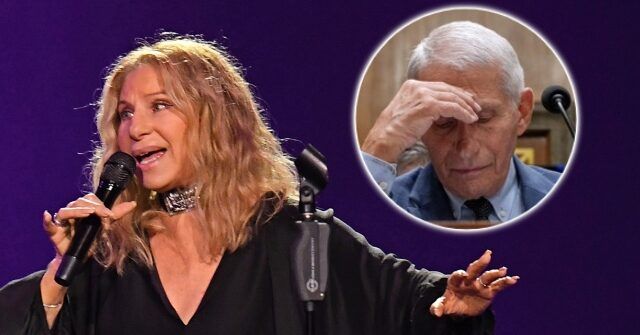 Barbra Streisand Laments 'Disgraceful Witch Hunt' Against Fauci: GOP Trying to 'Rewrite the History of the Pandemic'
