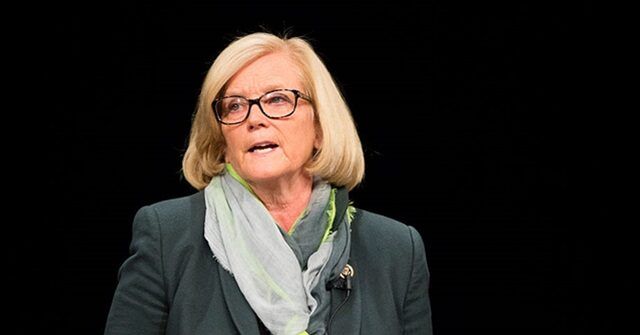 Dem Rep. Pingree: Maine ICE Shooting Gives Dems 'More Leverage' to 'Shut Down This Agency'