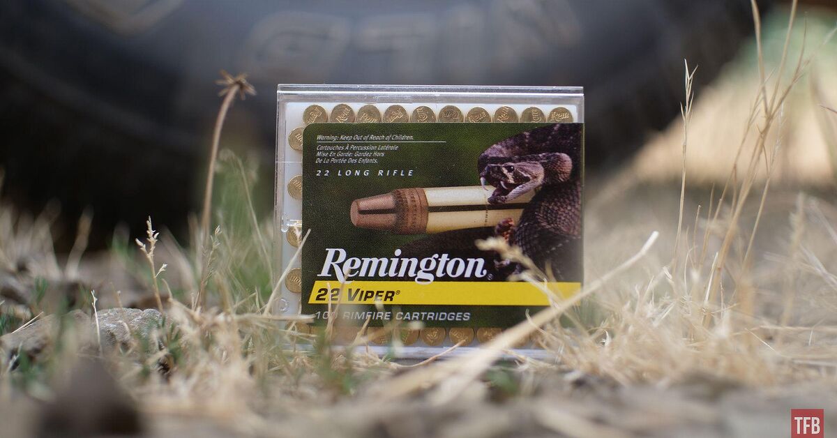 Remington's 36gr .22 Viper: Small Game Load Doubles as Target Ammo