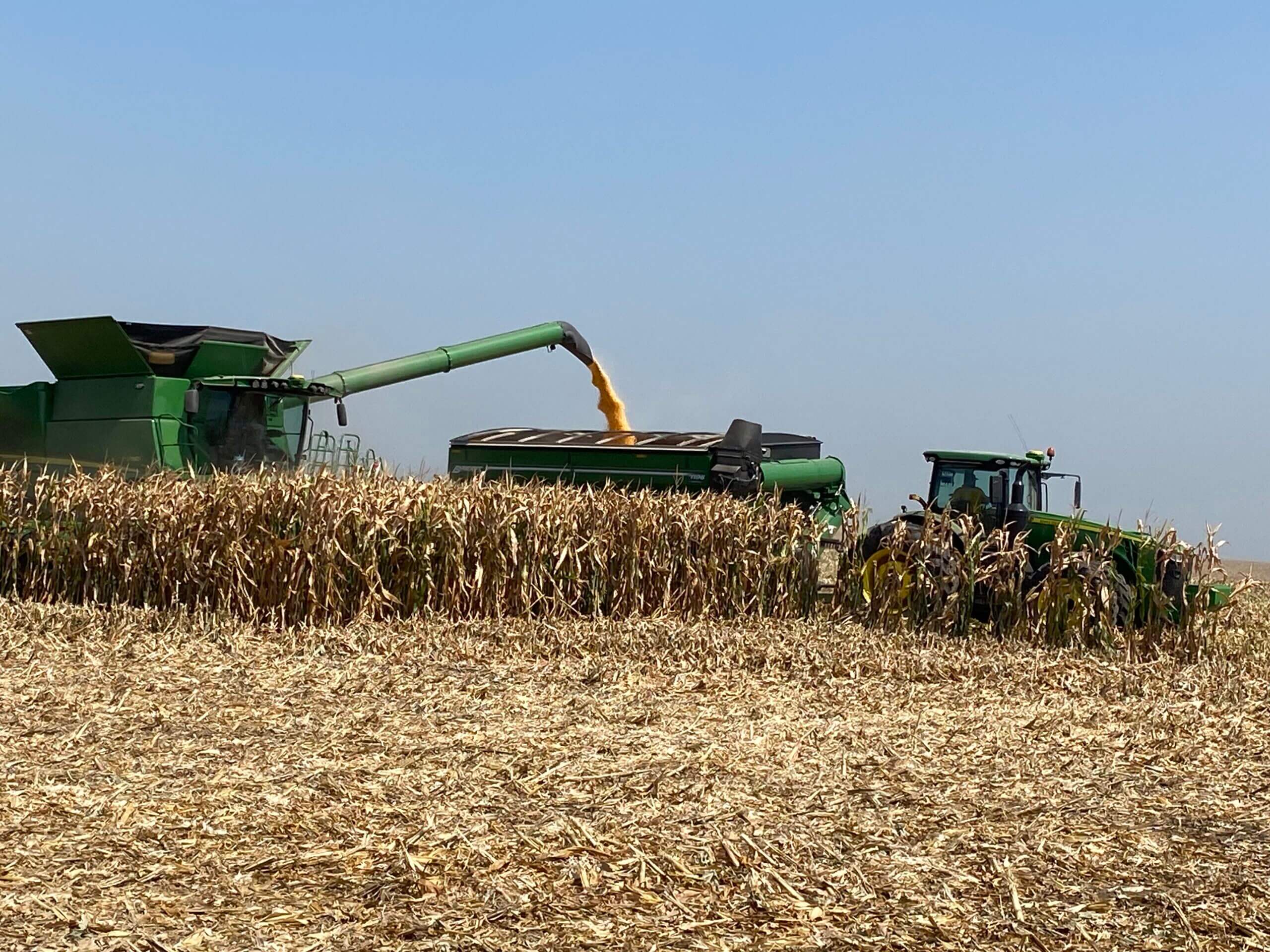 I Worked Harvest to Earn Duck Hunting Access