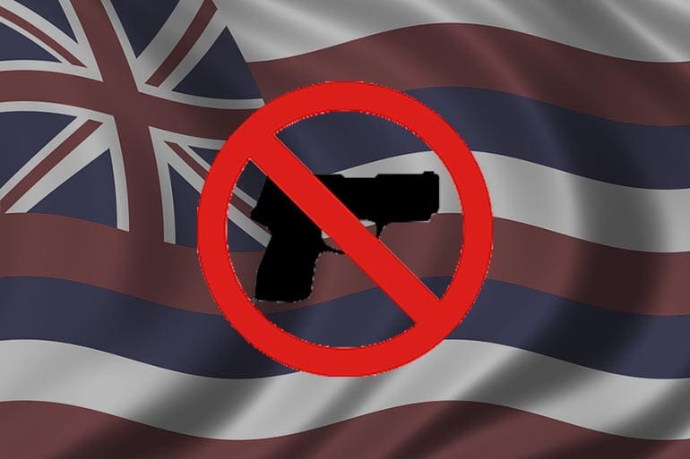 Hawaii Supreme Court Kills 'Vampire Rule'—Gun Groups Target Posted Signs