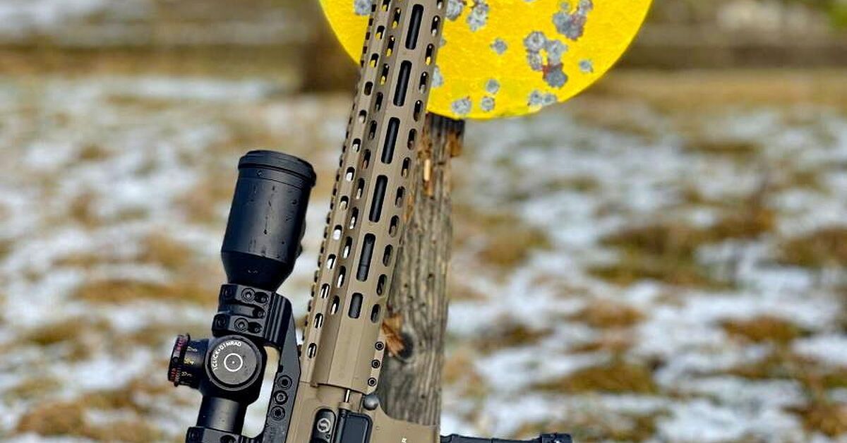 Schmeisser Pro Hunter .223: European AR Precision Built for Distance