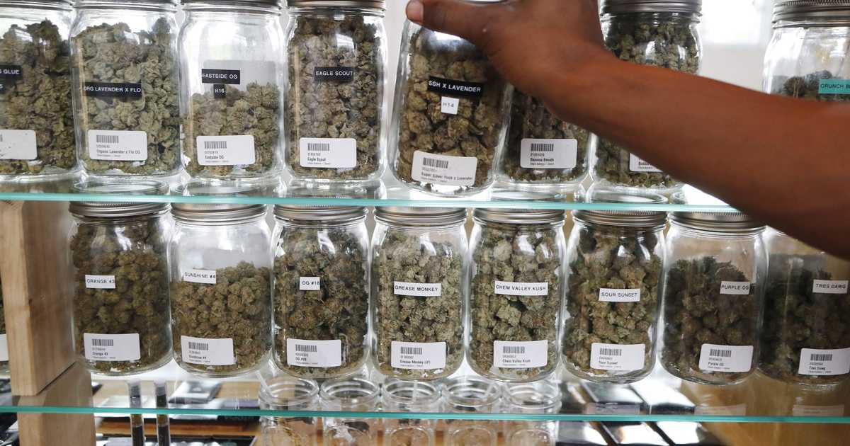 1 in 4 Cannabis Users Say Hemani Makes Them Likelier to Buy
