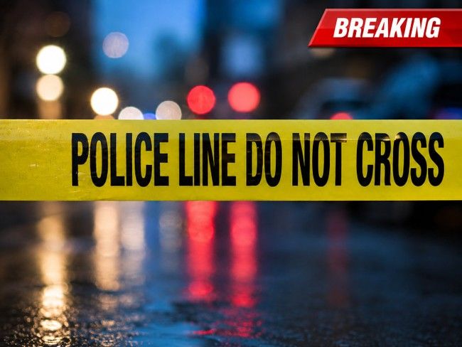 Armed 77-Year-Old Turns the Tables on Would-Be Kidnapper