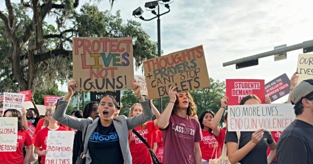 Democrat Senators Push More Gun Control After School Shooting Ended by Armed Bystander
