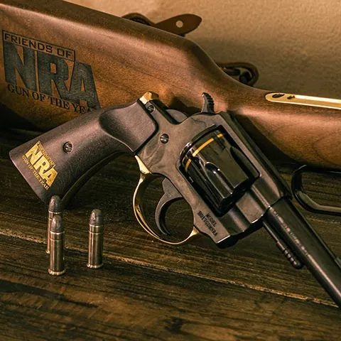 Henry Repeating Arms photo