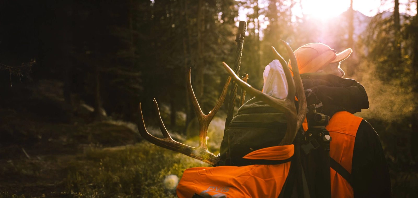 Weatherby Loads Five Standard Cartridges, Updates Brass and Ammo Pricing