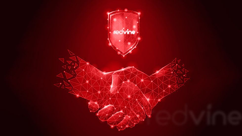 Redvine Networks collaborate with Lytn to enhance network intelligence in Africa