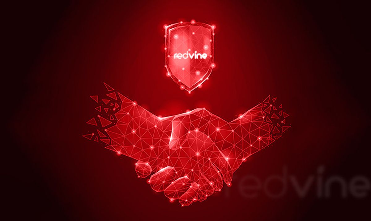 Redvine Networks collaborate with Lytn to enhance network intelligence in Africa