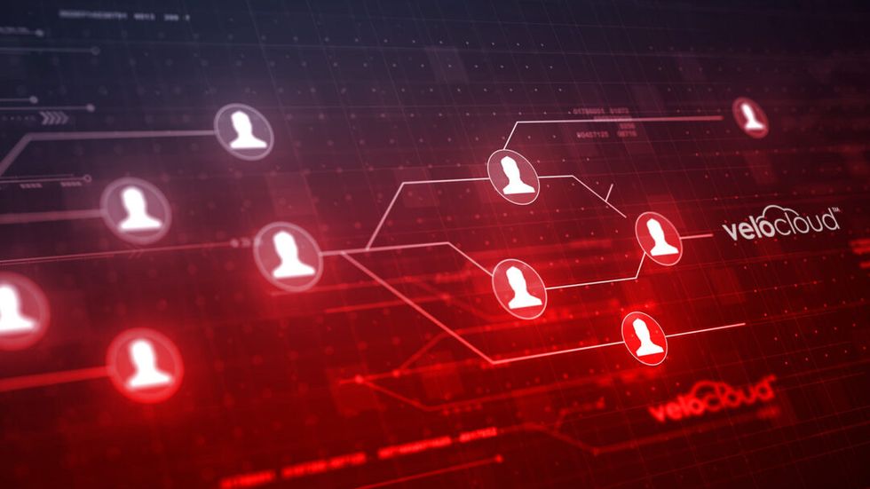 Velocloud's evolution: redefining connectivity with Redvine's expertise