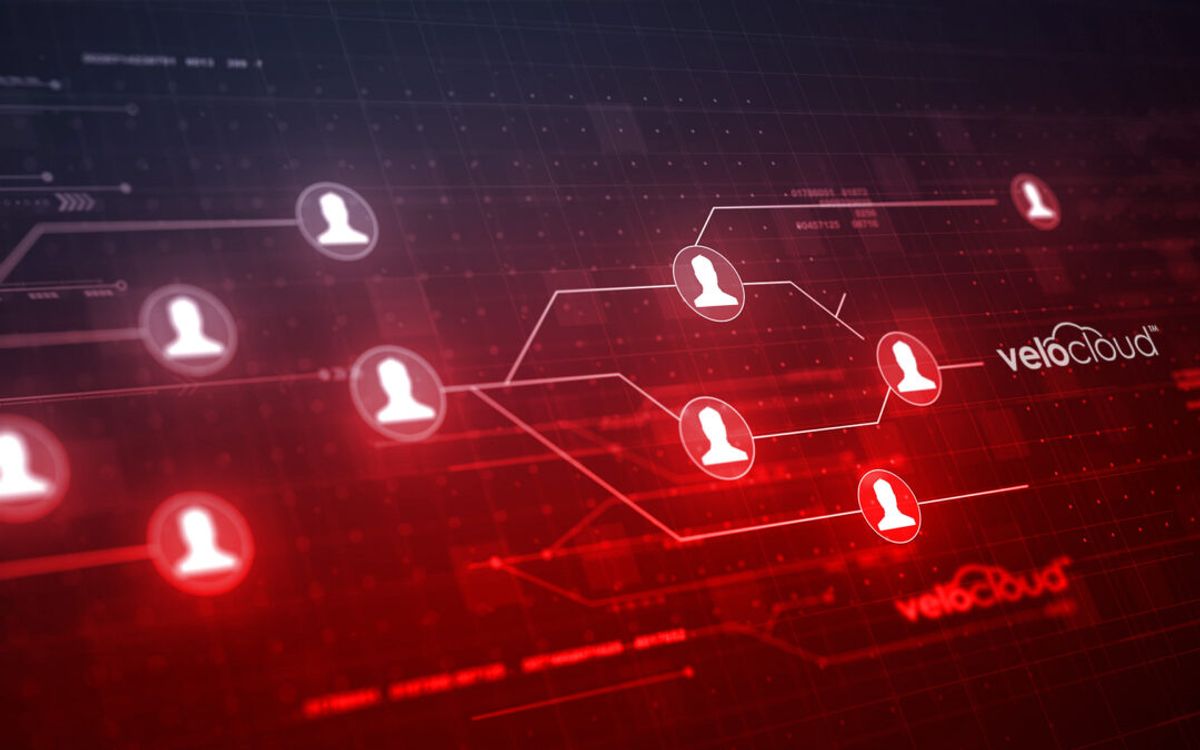 Velocloud's evolution: redefining connectivity with Redvine's expertise