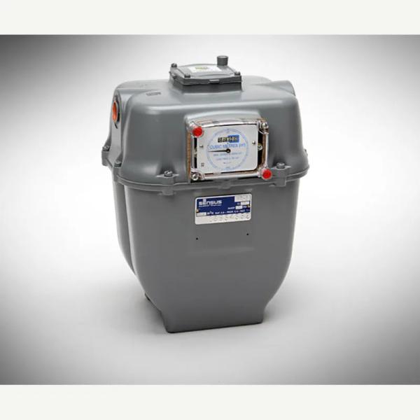DGM-S275M Metric Dry Gas Meter