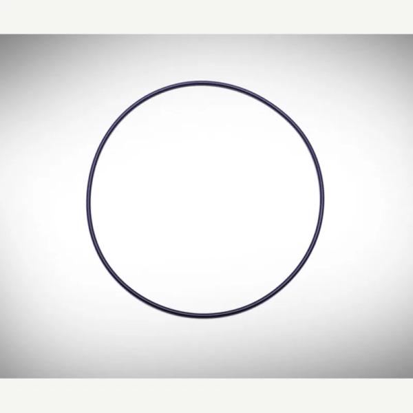 GF3-105-T Teflon-Coated Viton O-ring (prior 4/2013)