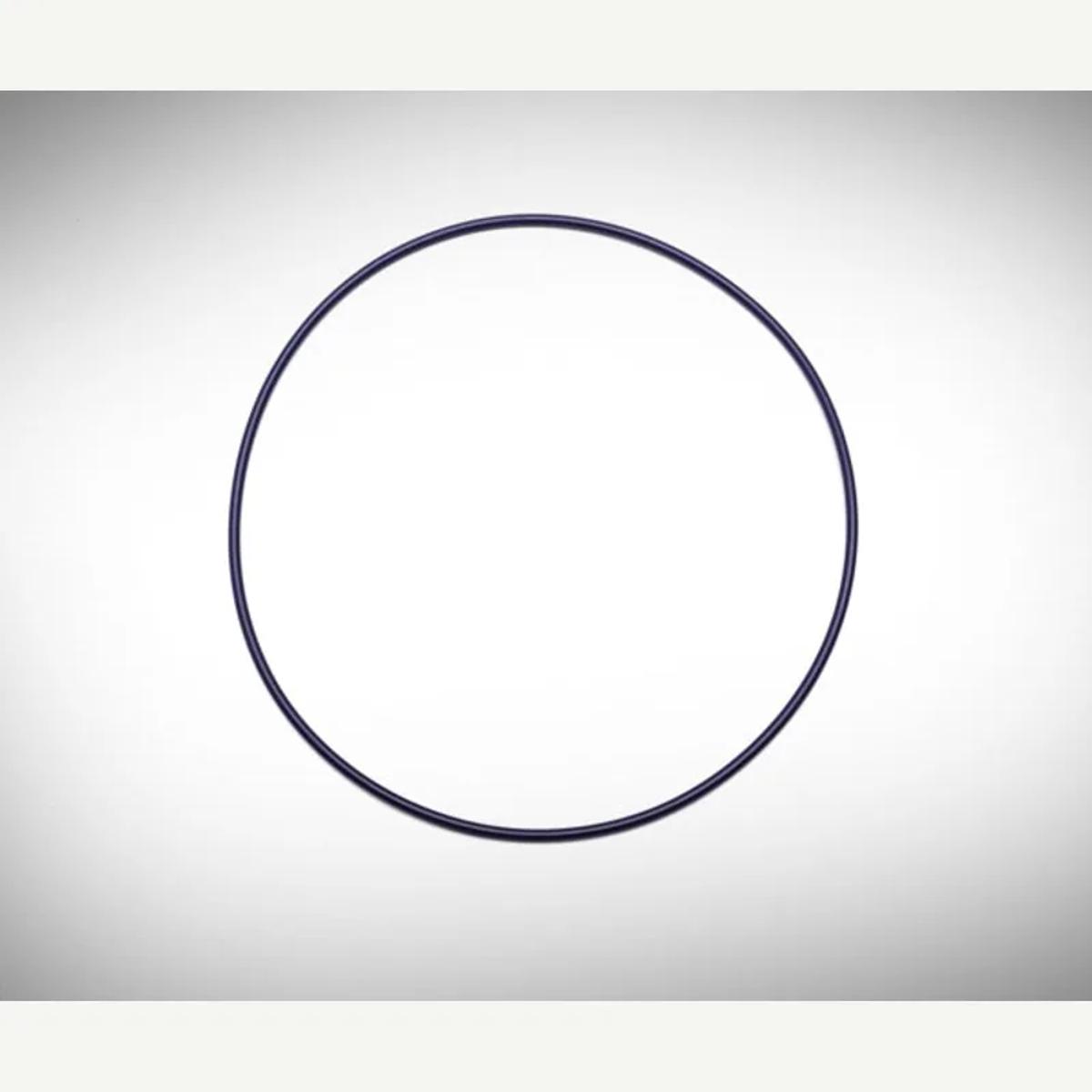 GF3-105-T Teflon-Coated Viton O-ring (prior 4/2013)