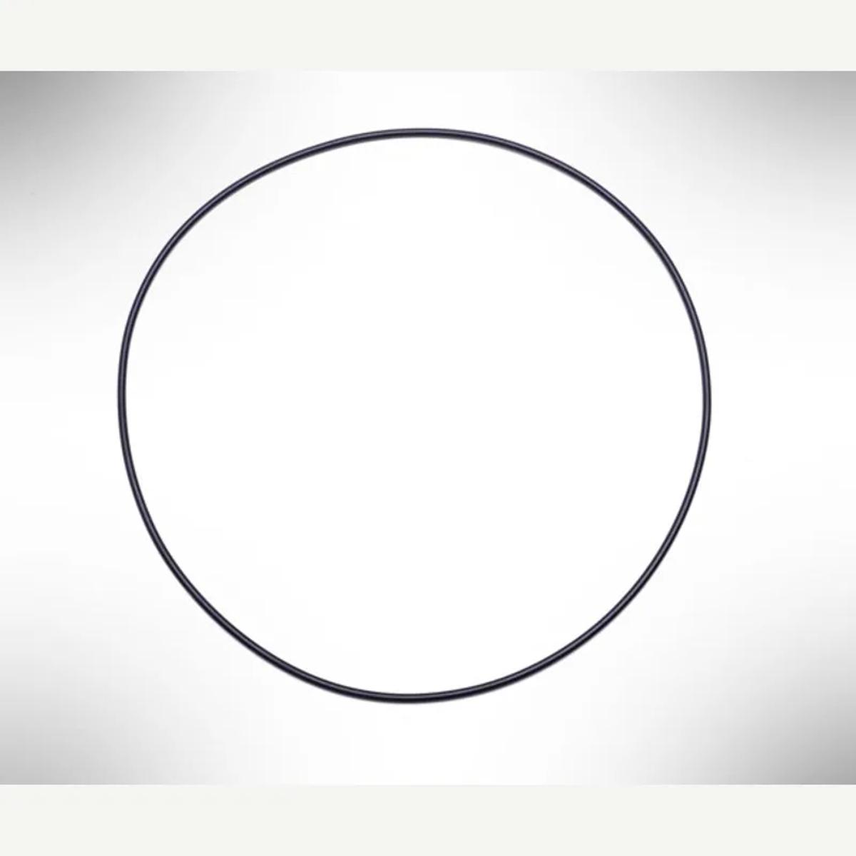 GF4-105-T Teflon-Coated Viton O-ring, 4" Frit