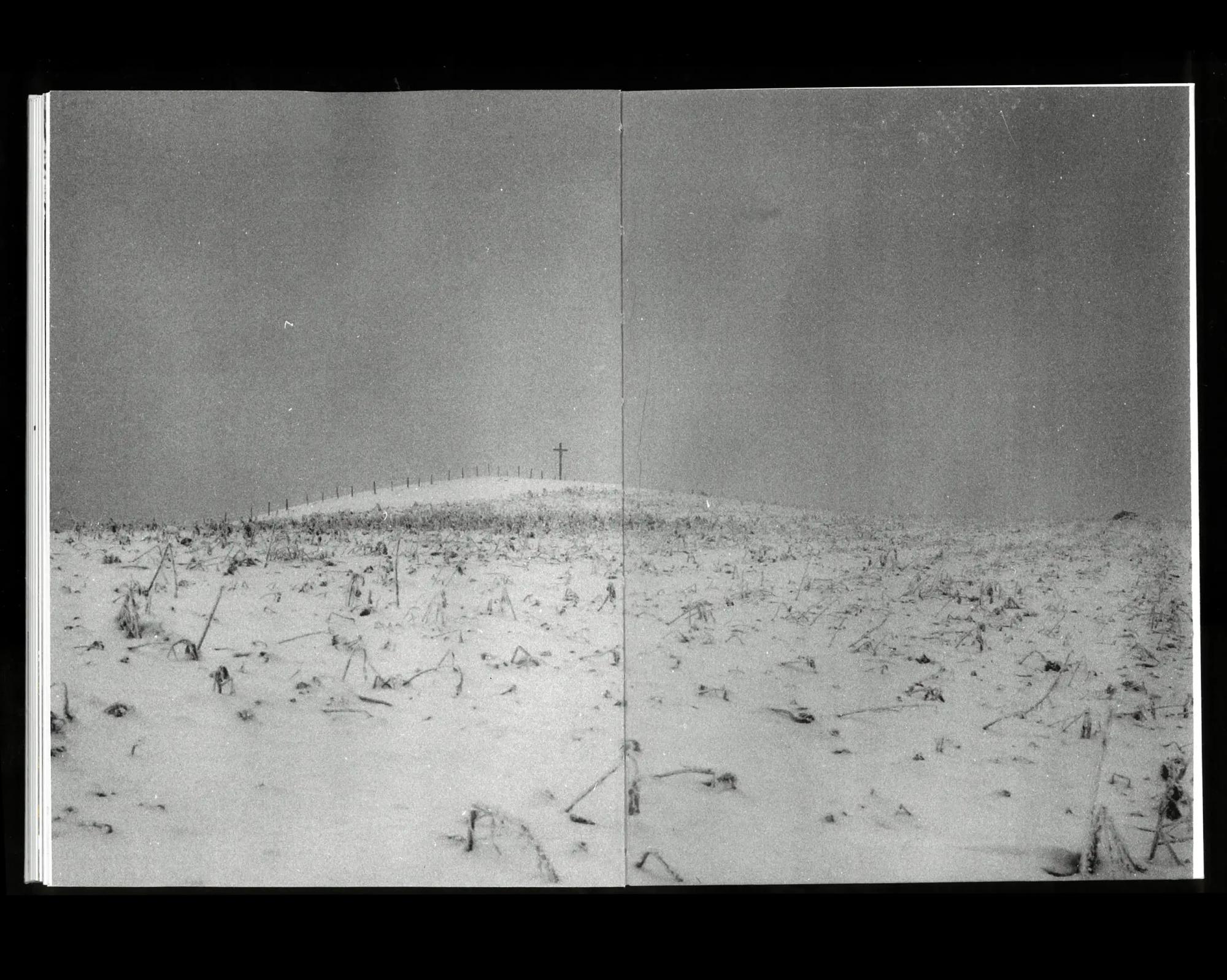 37