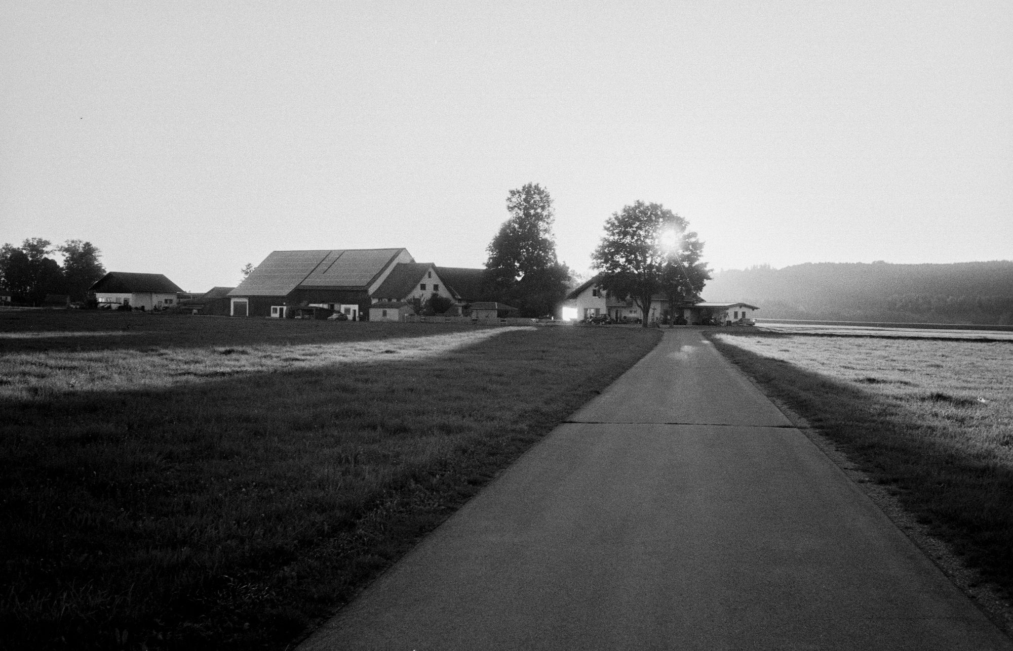 Sonne Baum