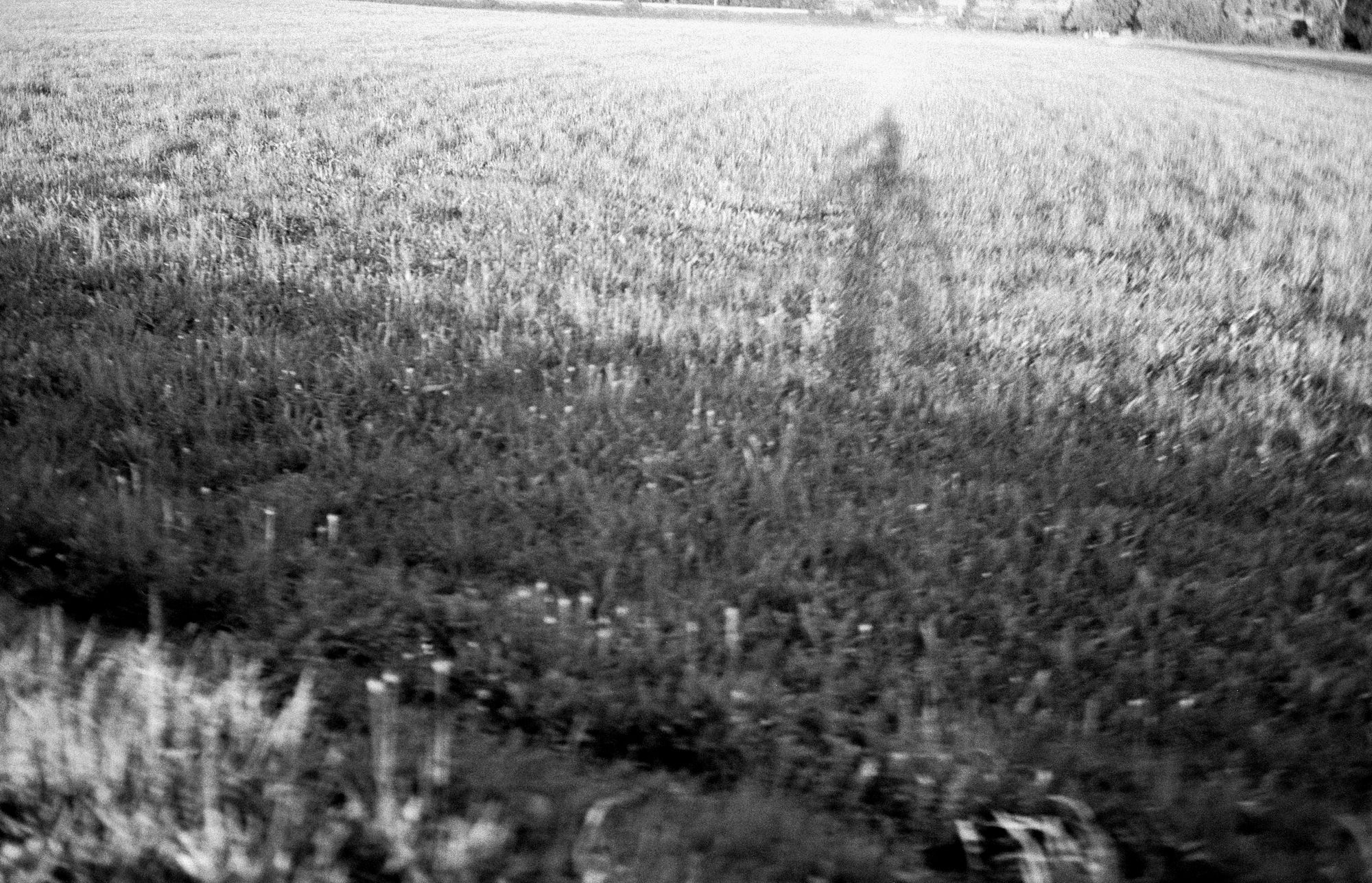 Fahrrad Schatten