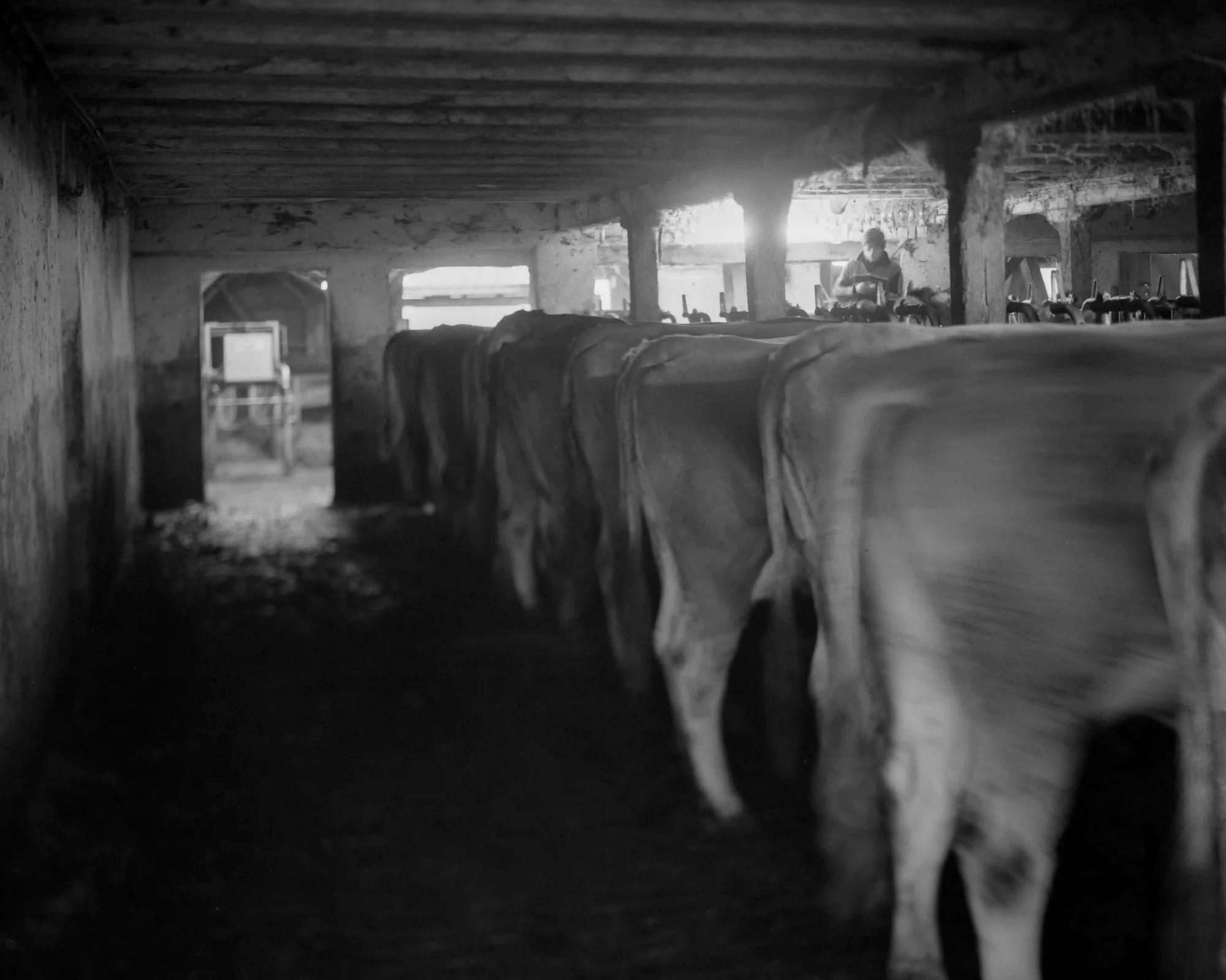 stall 4x5