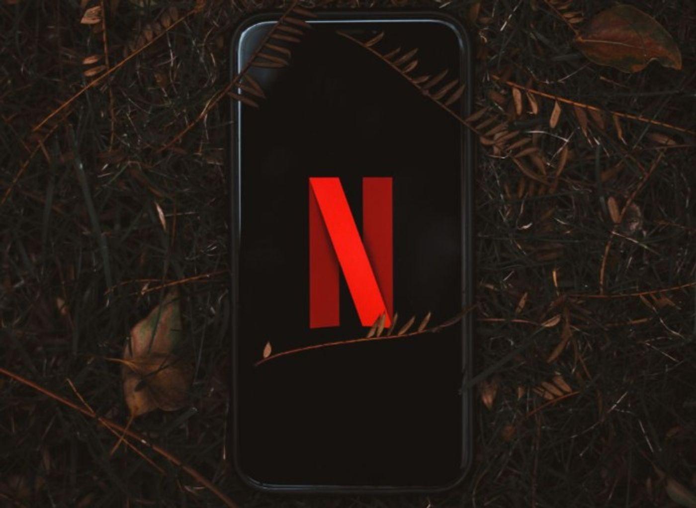 mobile phone with netflix load screen