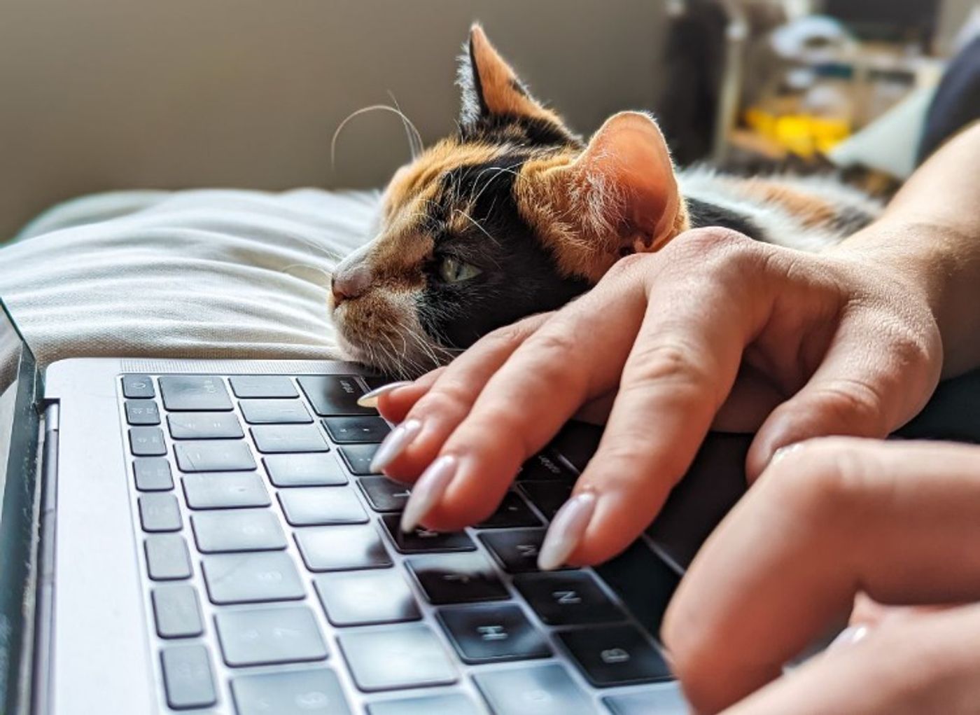 ​Controversial Opinions on the EA/PA Profession
