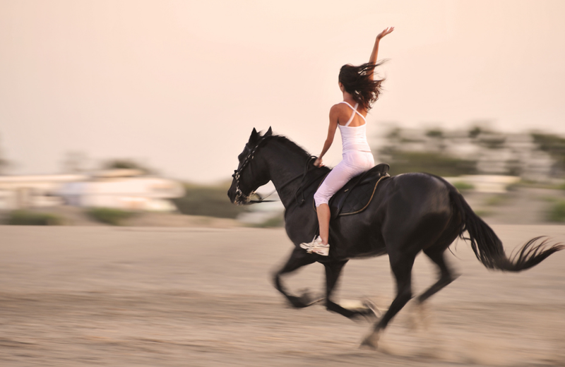 Moving Your Business Forward in the Year of the Horse