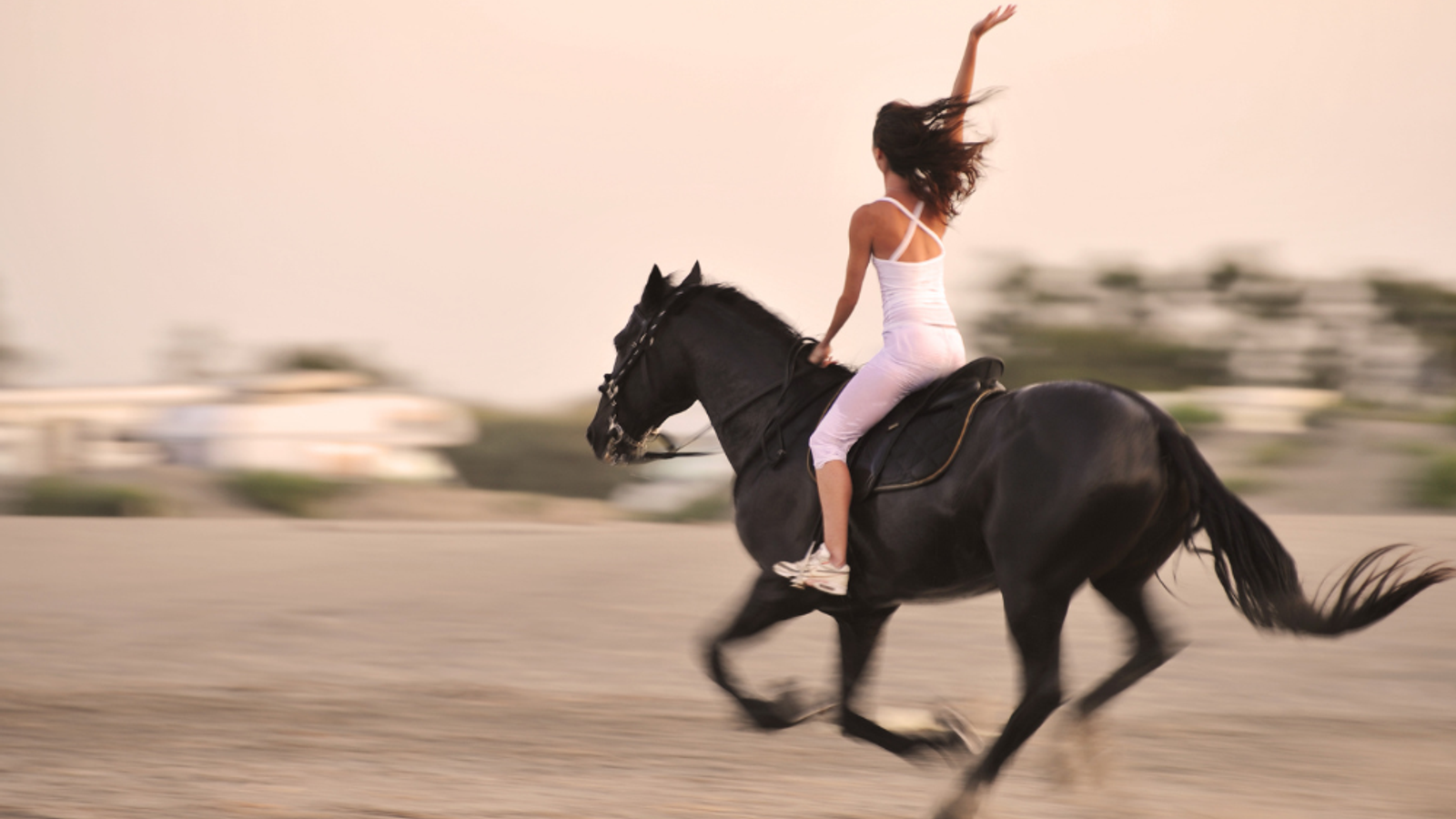 Moving Your Business Forward in the Year of the Horse