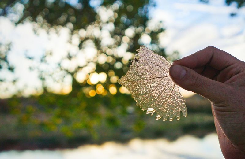 The Importance of Pay Transparency: How It Impacts Talent Attraction and Retention