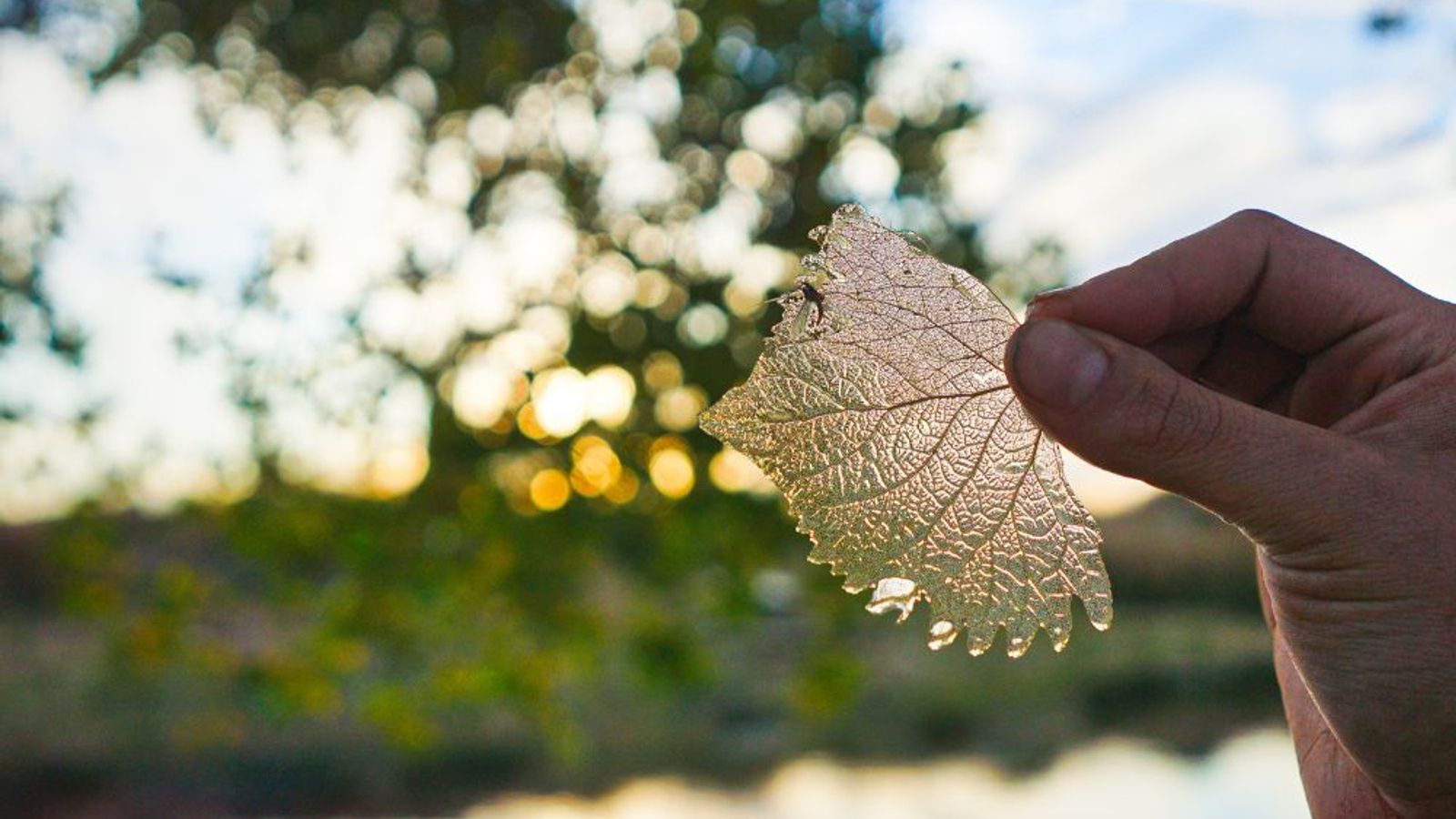 The Importance of Pay Transparency: How It Impacts Talent Attraction and Retention