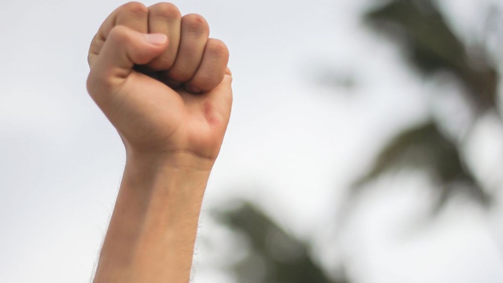 Mastering Your Business: A Strategic Approach to Corporate Planning