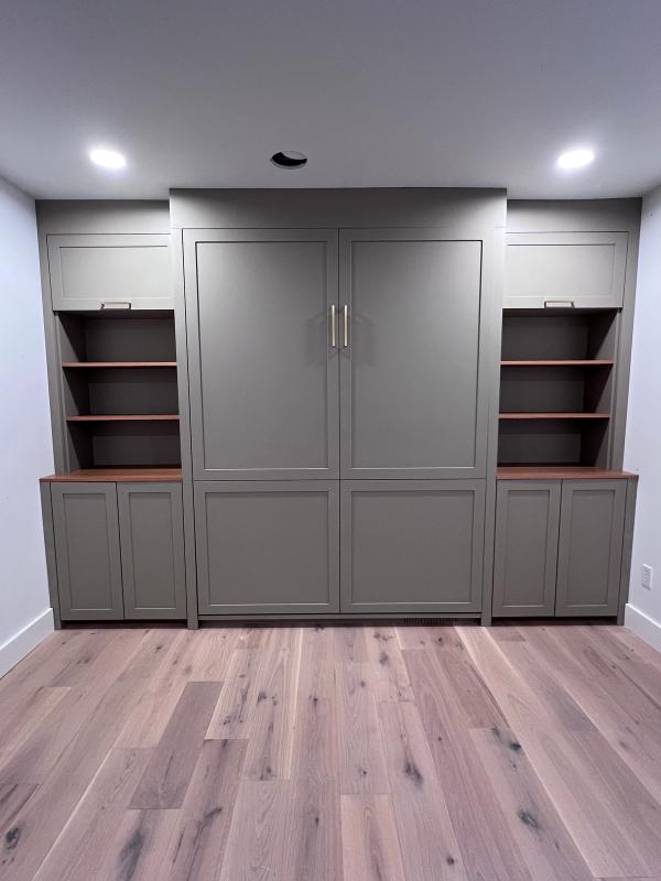 Ann Arbor Murphy Bed by TrueForm Closets