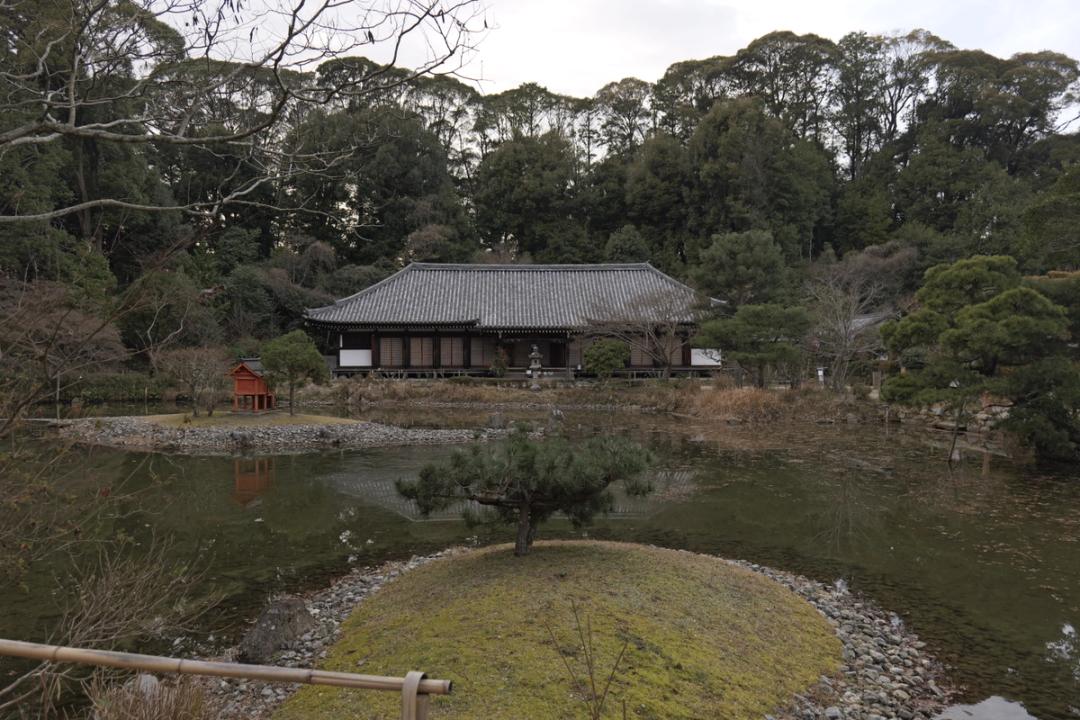 浄瑠璃寺　Photo by MATSUURA Musashi
