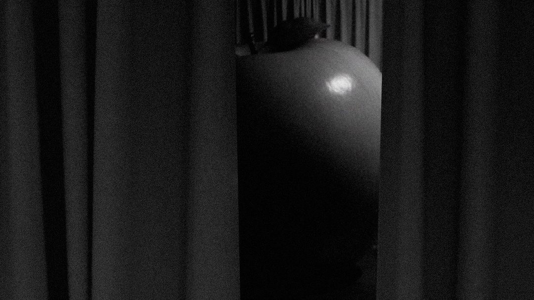 Video：https://youtu.be/Mk_2PDhDYXA