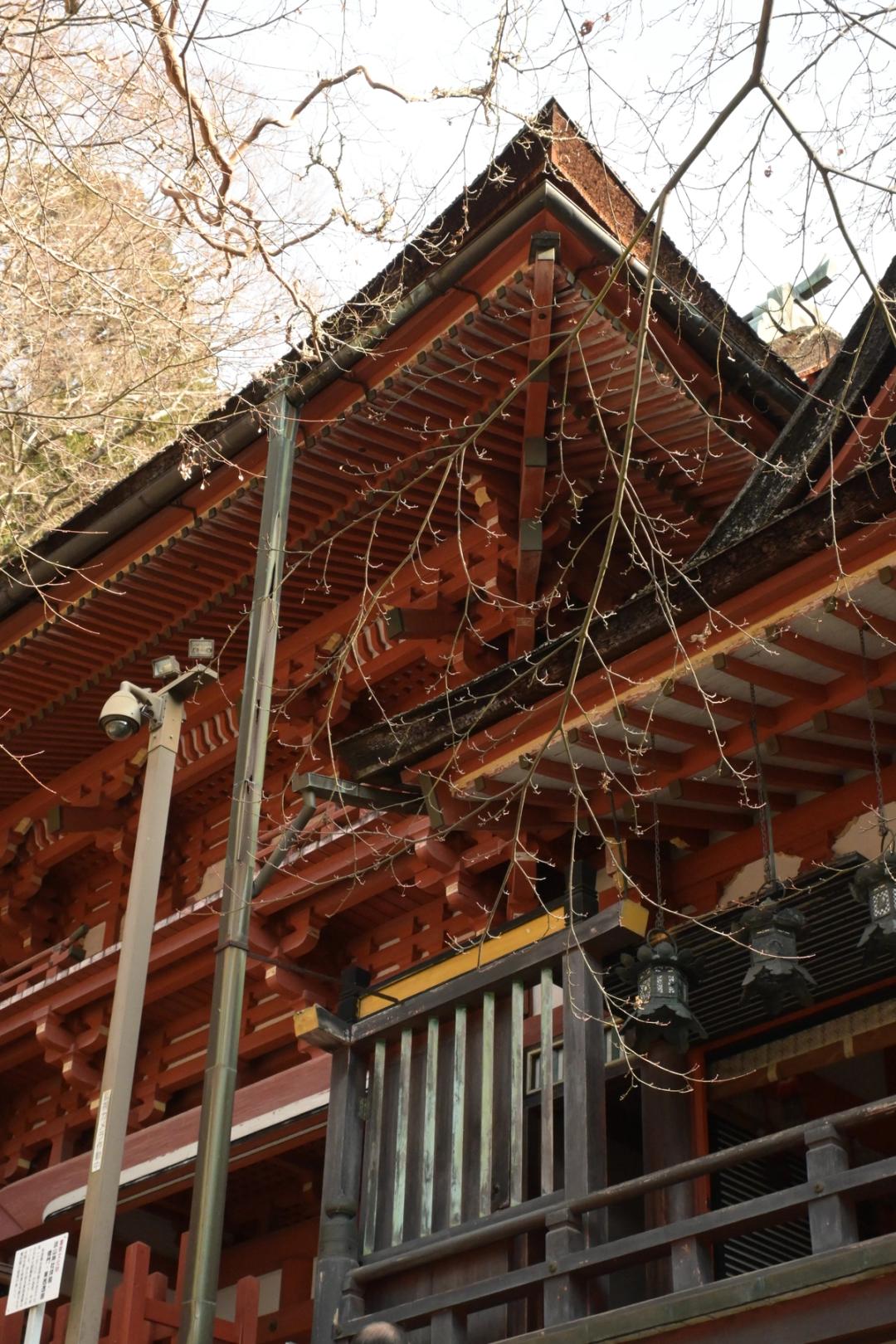 談山神社　Photo by OKAYAMA Saki