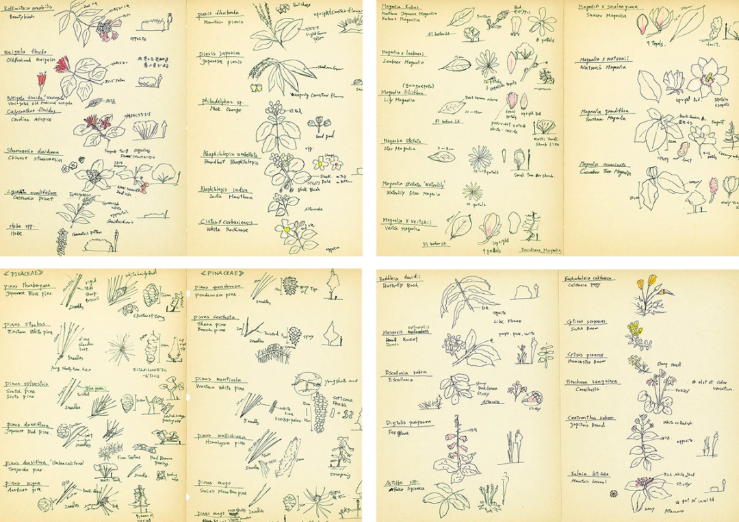 #Plants | University of Oregon,1993