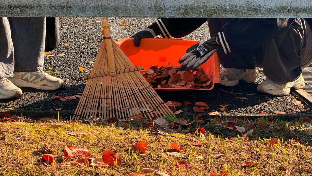 土中環境のため落ち葉収集