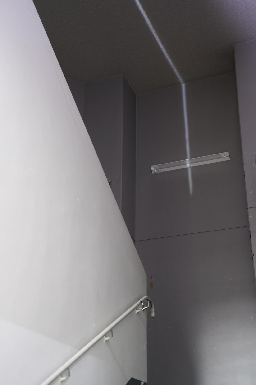 Untitled (Tilta #241), 2025. ©︎ Gottingham. Image courtesy of Tama Art University and Studio Xxingham