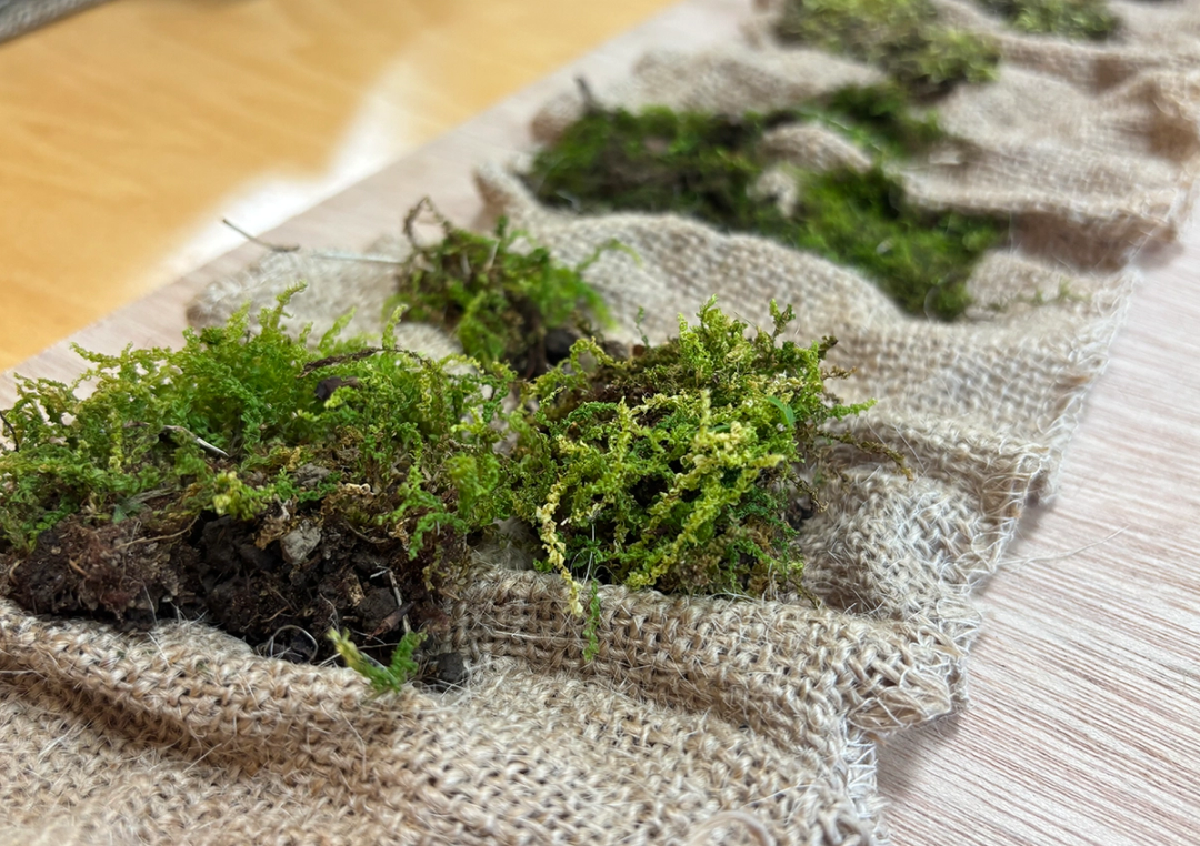 #Living Textile, 水谷優美