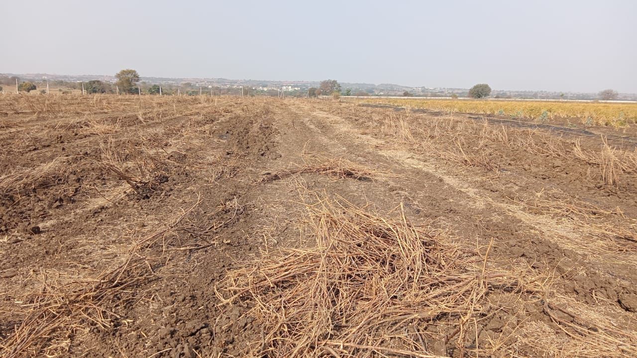 Chevella Agricultural Land Parcel