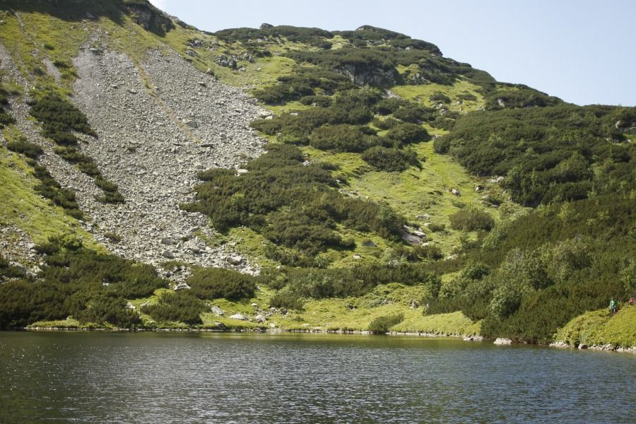 Roháčske pleso