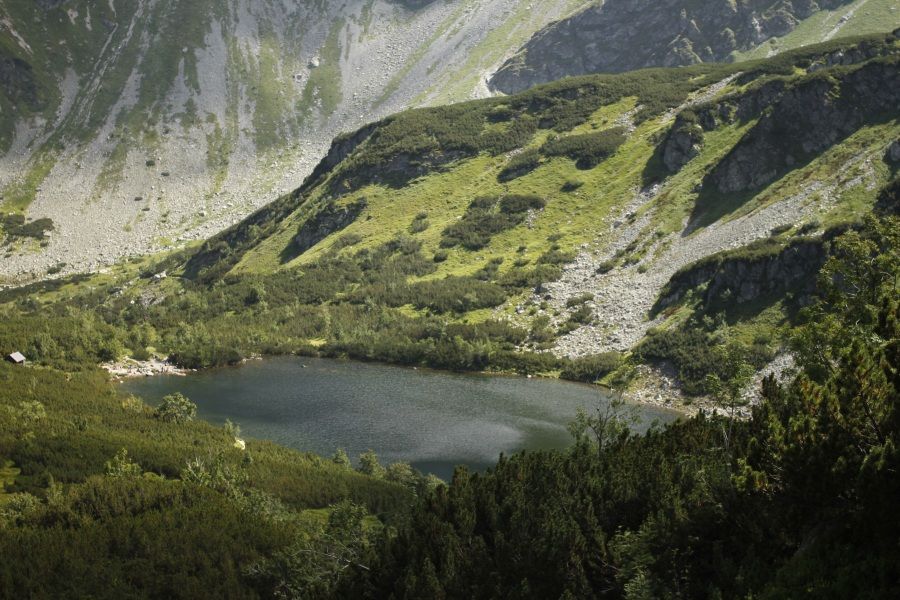 Roháčske pleso